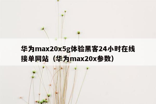 华为max20x5g体验黑客24小时在线接单网站（华为max20x参数）