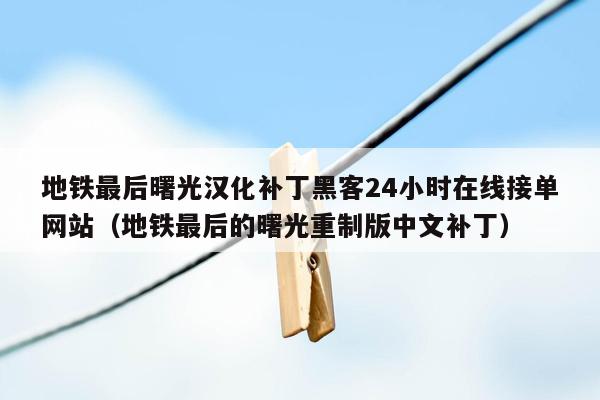 地铁最后曙光汉化补丁黑客24小时在线接单网站（地铁最后的曙光重制版中文补丁）