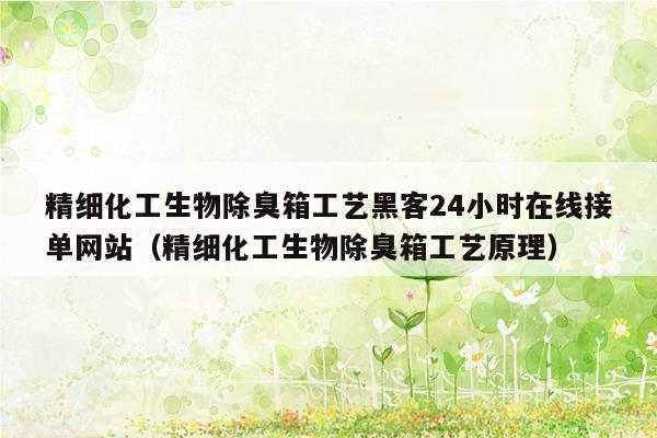 精细化工生物除臭箱工艺黑客24小时在线接单网站（精细化工生物除臭箱工艺原理）