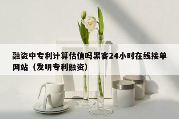 融资中专利计算估值吗黑客24小时在线接单网站（发明专利融资）