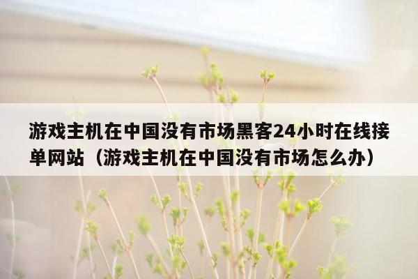 游戏主机在中国没有市场黑客24小时在线接单网站（游戏主机在中国没有市场怎么办）