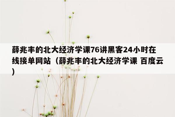 薛兆丰的北大经济学课76讲黑客24小时在线接单网站（薛兆丰的北大经济学课 百度云）