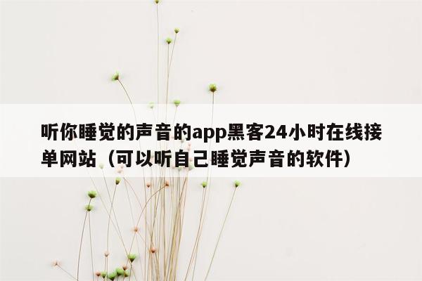 听你睡觉的声音的app黑客24小时在线接单网站（可以听自己睡觉声音的软件）