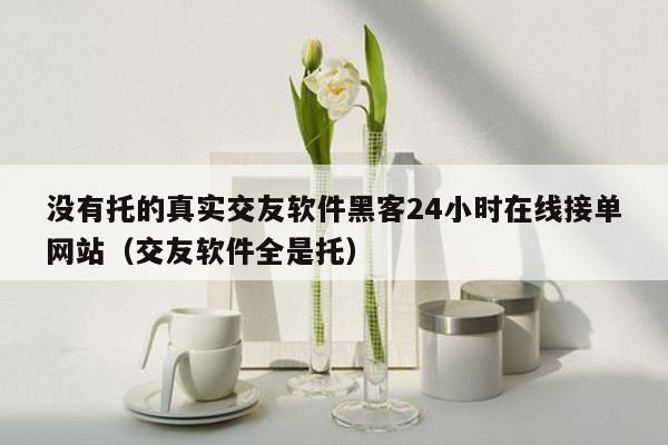 没有托的真实交友软件黑客24小时在线接单网站（交友软件全是托）