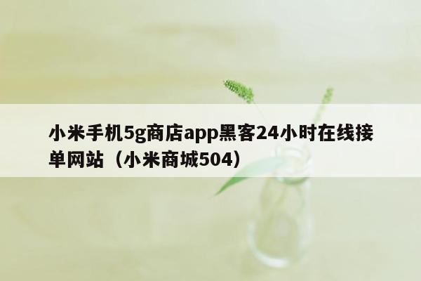 小米手机5g商店app黑客24小时在线接单网站（小米商城504）