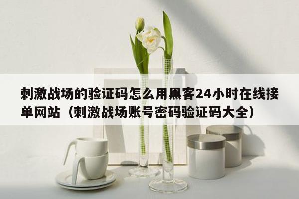 刺激战场的验证码怎么用黑客24小时在线接单网站（刺激战场账号密码验证码大全）