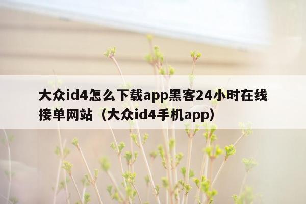 大众id4怎么下载app黑客24小时在线接单网站（大众id4手机app）