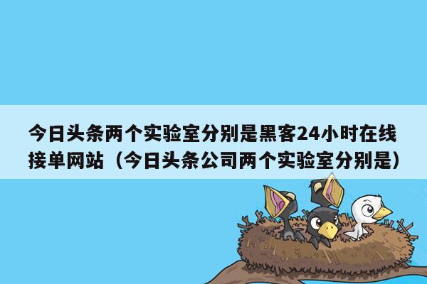 今日头条两个实验室分别是黑客24小时在线接单网站（今日头条公司两个实验室分别是）