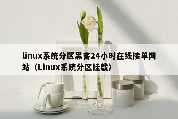 linux系统分区黑客24小时在线接单网站（Linux系统分区挂载）