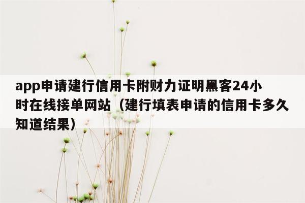 app申请建行信用卡附财力证明黑客24小时在线接单网站（建行填表申请的信用卡多久知道结果）