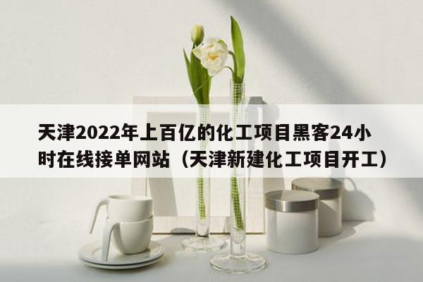 天津2022年上百亿的化工项目黑客24小时在线接单网站（天津新建化工项目开工）