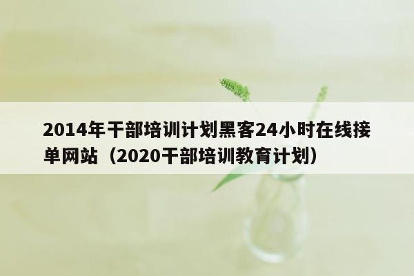 2014年干部培训计划黑客24小时在线接单网站（2020干部培训教育计划）