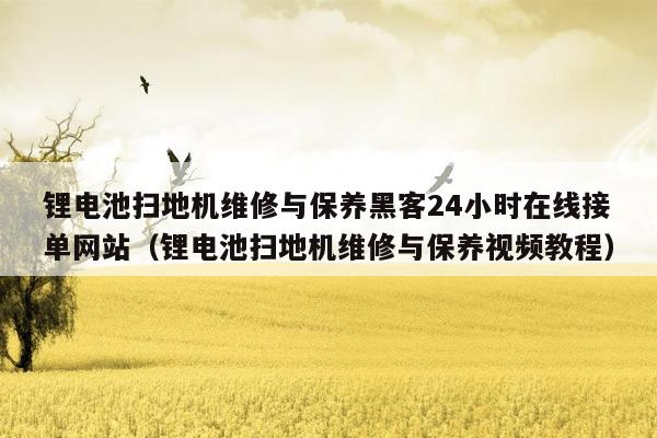 锂电池扫地机维修与保养黑客24小时在线接单网站（锂电池扫地机维修与保养视频教程）