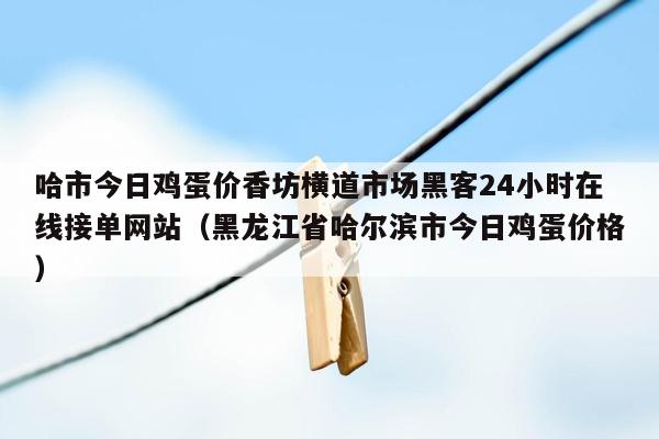 哈市今日鸡蛋价香坊横道市场黑客24小时在线接单网站（黑龙江省哈尔滨市今日鸡蛋价格）