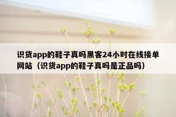 识货app的鞋子真吗黑客24小时在线接单网站（识货app的鞋子真吗是正品吗）