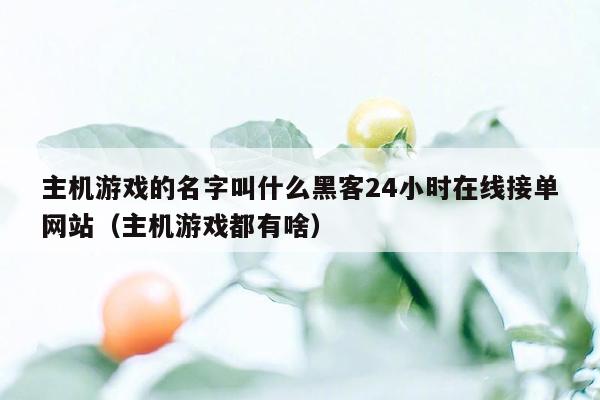 主机游戏的名字叫什么黑客24小时在线接单网站（主机游戏都有啥）