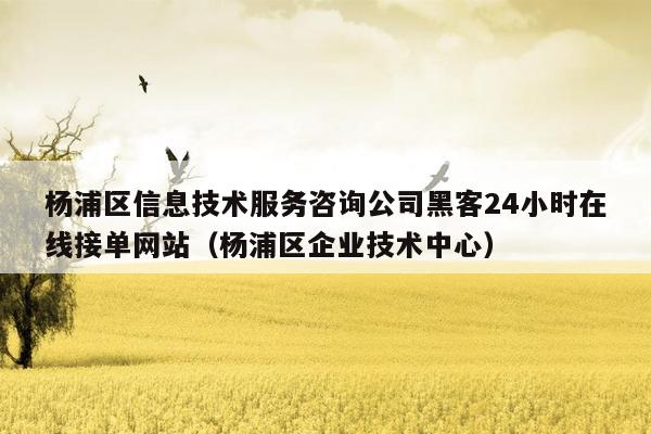 杨浦区信息技术服务咨询公司黑客24小时在线接单网站（杨浦区企业技术中心）