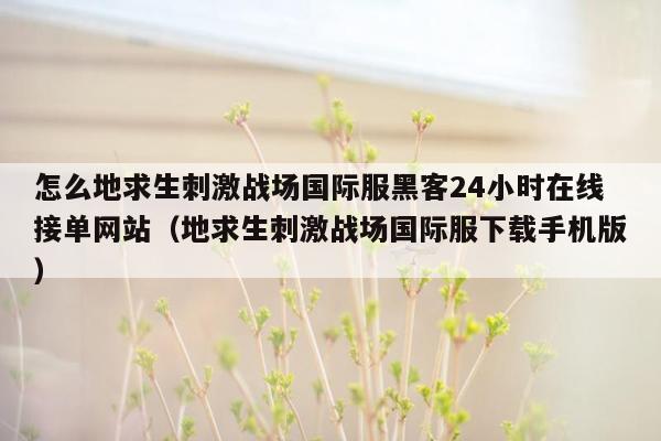 怎么地求生刺激战场国际服黑客24小时在线接单网站（地求生刺激战场国际服下载手机版）