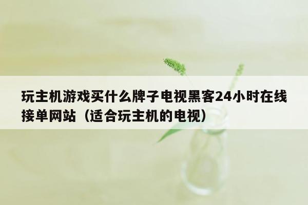 玩主机游戏买什么牌子电视黑客24小时在线接单网站（适合玩主机的电视）