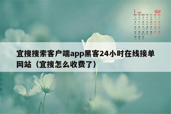 宜搜搜索客户端app黑客24小时在线接单网站（宜搜怎么收费了）