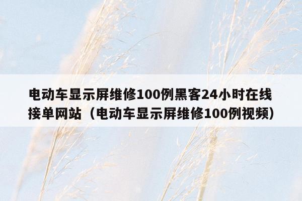 电动车显示屏维修100例黑客24小时在线接单网站（电动车显示屏维修100例视频）