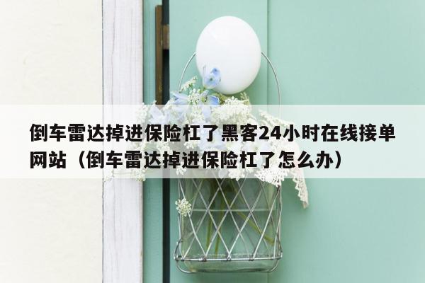 倒车雷达掉进保险杠了黑客24小时在线接单网站（倒车雷达掉进保险杠了怎么办）