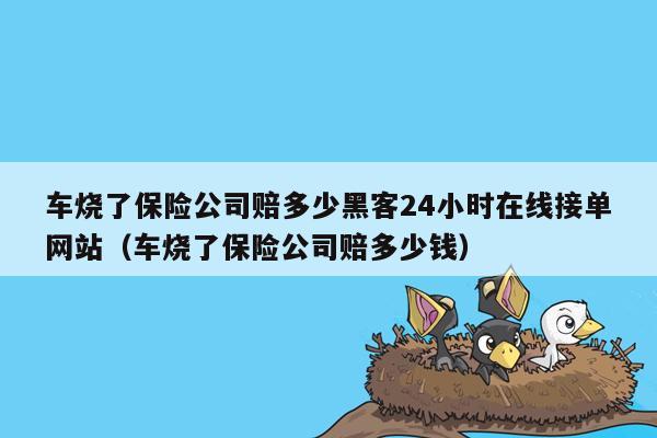 车烧了保险公司赔多少黑客24小时在线接单网站（车烧了保险公司赔多少钱）