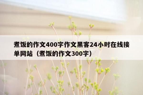 煮饭的作文400字作文黑客24小时在线接单网站（煮饭的作文300字）