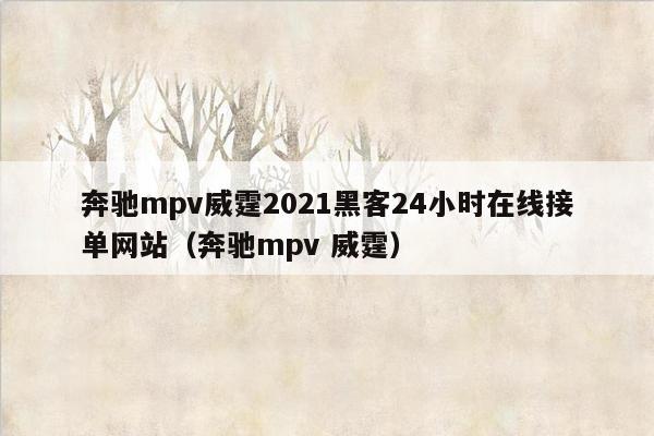 奔驰mpv威霆2021黑客24小时在线接单网站（奔驰mpv 威霆）