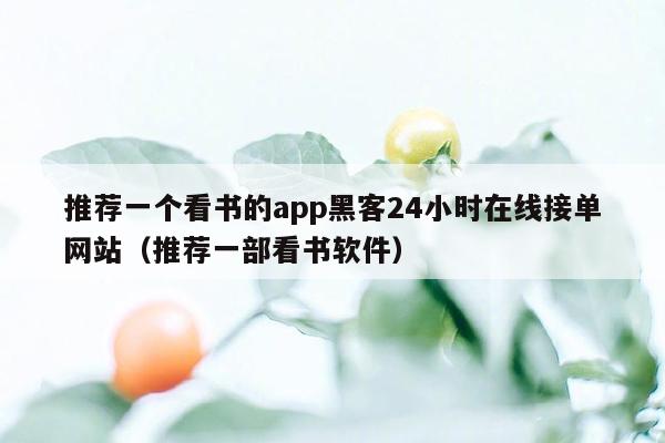 推荐一个看书的app黑客24小时在线接单网站（推荐一部看书软件）