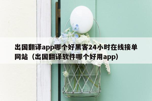 出国翻译app哪个好黑客24小时在线接单网站（出国翻译软件哪个好用app）