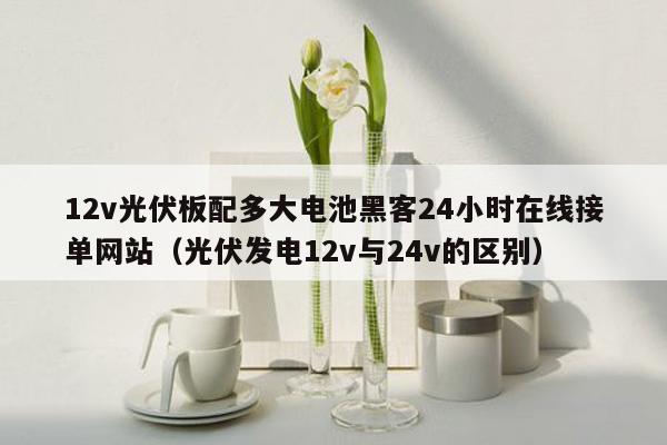 12v光伏板配多大电池黑客24小时在线接单网站（光伏发电12v与24v的区别）