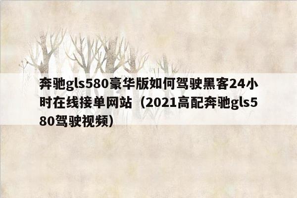 奔驰gls580豪华版如何驾驶黑客24小时在线接单网站（2021高配奔驰gls580驾驶视频）