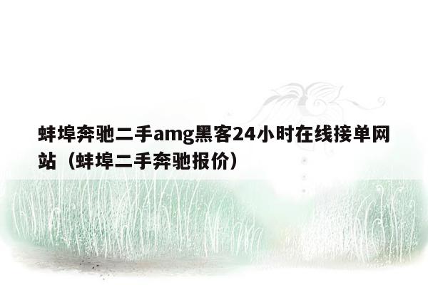 蚌埠奔驰二手amg黑客24小时在线接单网站（蚌埠二手奔驰报价）