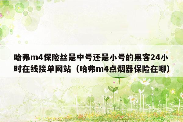 哈弗m4保险丝是中号还是小号的黑客24小时在线接单网站（哈弗m4点烟器保险在哪）