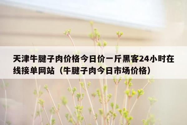 天津牛腱子肉价格今日价一斤黑客24小时在线接单网站（牛腱子肉今日市场价格）