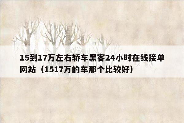 15到17万左右轿车黑客24小时在线接单网站（1517万的车那个比较好）