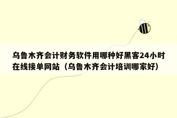 乌鲁木齐会计财务软件用哪种好黑客24小时在线接单网站（乌鲁木齐会计培训哪家好）