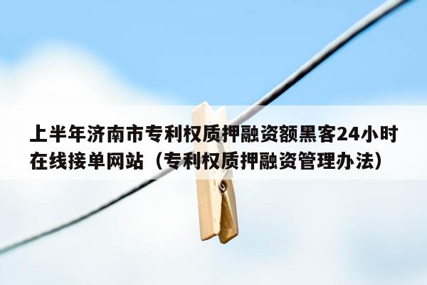 上半年济南市专利权质押融资额黑客24小时在线接单网站（专利权质押融资管理办法）