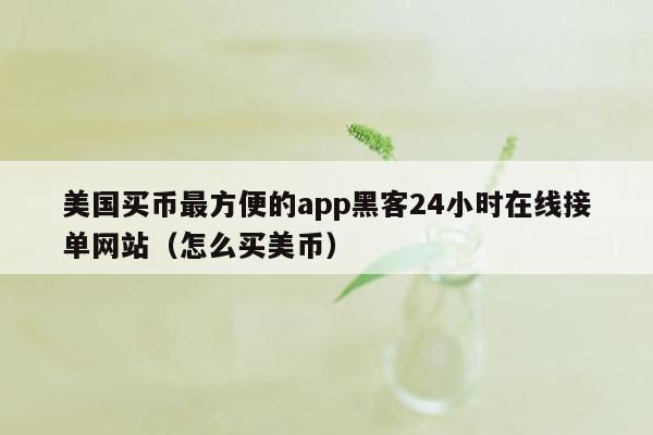 美国买币最方便的app黑客24小时在线接单网站（怎么买美币）