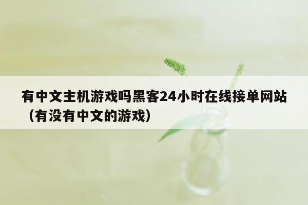 有中文主机游戏吗黑客24小时在线接单网站（有没有中文的游戏）