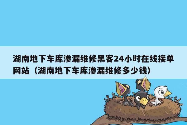 湖南地下车库渗漏维修黑客24小时在线接单网站（湖南地下车库渗漏维修多少钱）