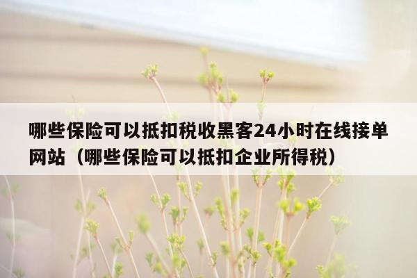 哪些保险可以抵扣税收黑客24小时在线接单网站（哪些保险可以抵扣企业所得税）