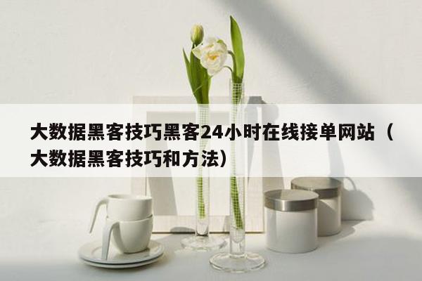 大数据黑客技巧黑客24小时在线接单网站（大数据黑客技巧和方法）