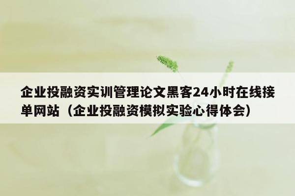 企业投融资实训管理论文黑客24小时在线接单网站（企业投融资模拟实验心得体会）