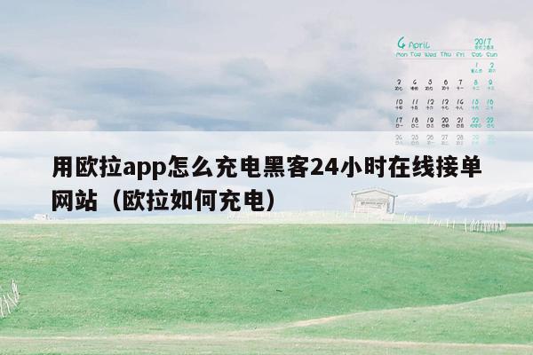 用欧拉app怎么充电黑客24小时在线接单网站（欧拉如何充电）