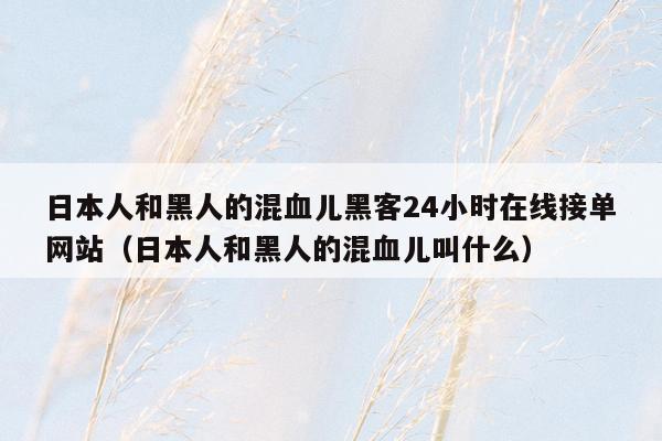 日本人和黑人的混血儿黑客24小时在线接单网站（日本人和黑人的混血儿叫什么）