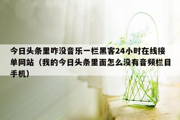 今日头条里咋没音乐一栏黑客24小时在线接单网站（我的今日头条里面怎么没有音频栏目手机）