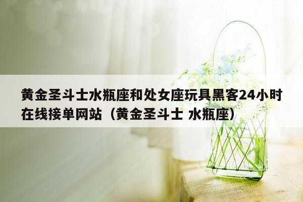 黄金圣斗士水瓶座和处女座玩具黑客24小时在线接单网站（黄金圣斗士 水瓶座）