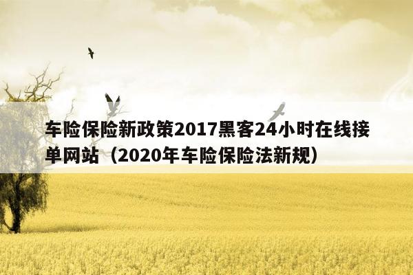 车险保险新政策2017黑客24小时在线接单网站（2020年车险保险法新规）